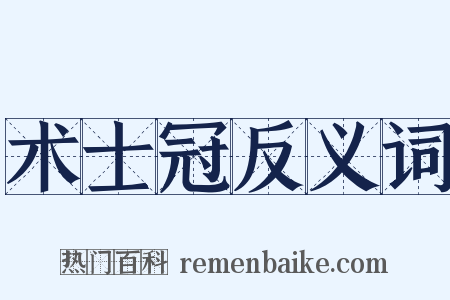 术士冠反义词是什么意思的图片